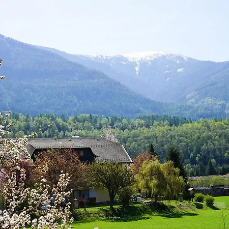 Fallerhaus Σπίτι διακοπών Gmünd