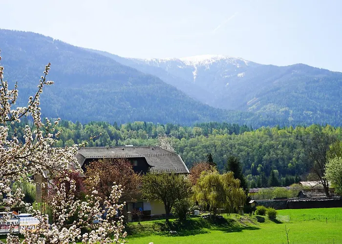 Fallerhaus Σπίτι διακοπών Gmünd